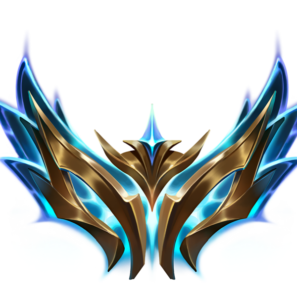 Elite Longterm Coaching